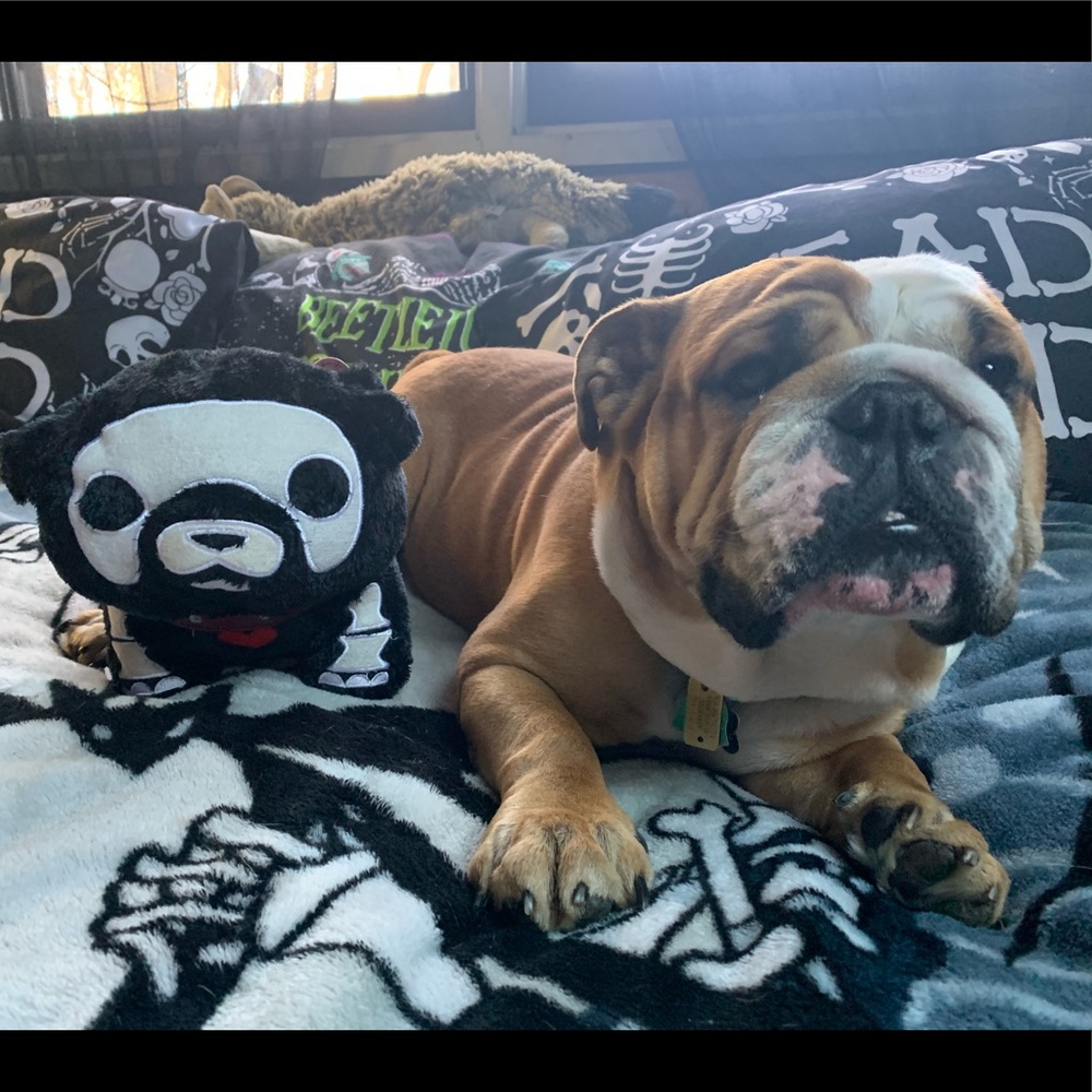 Meet your Posher, Elyse